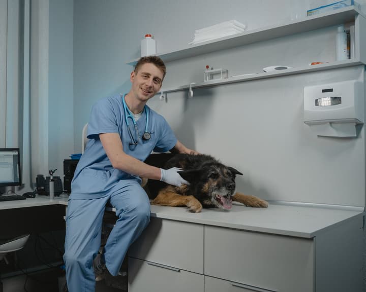 Veterinário sorrindo ao lado de um cachorro deitado na mesa de atendimento da clínica